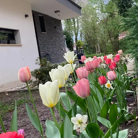Peace Of Mind Cottage Tata Exterior photo